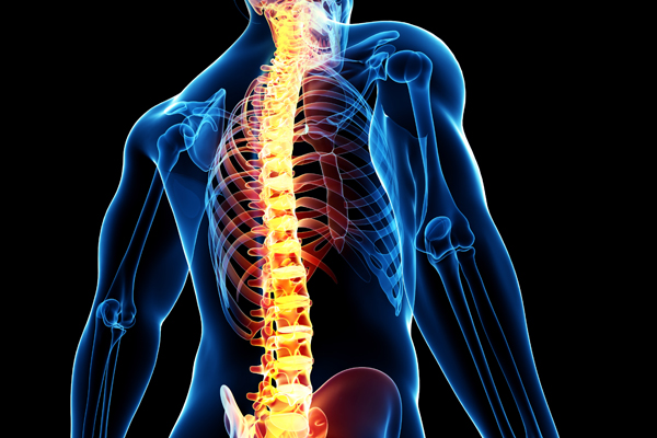 Spinal Tümörler-Omurilik Tümörleri